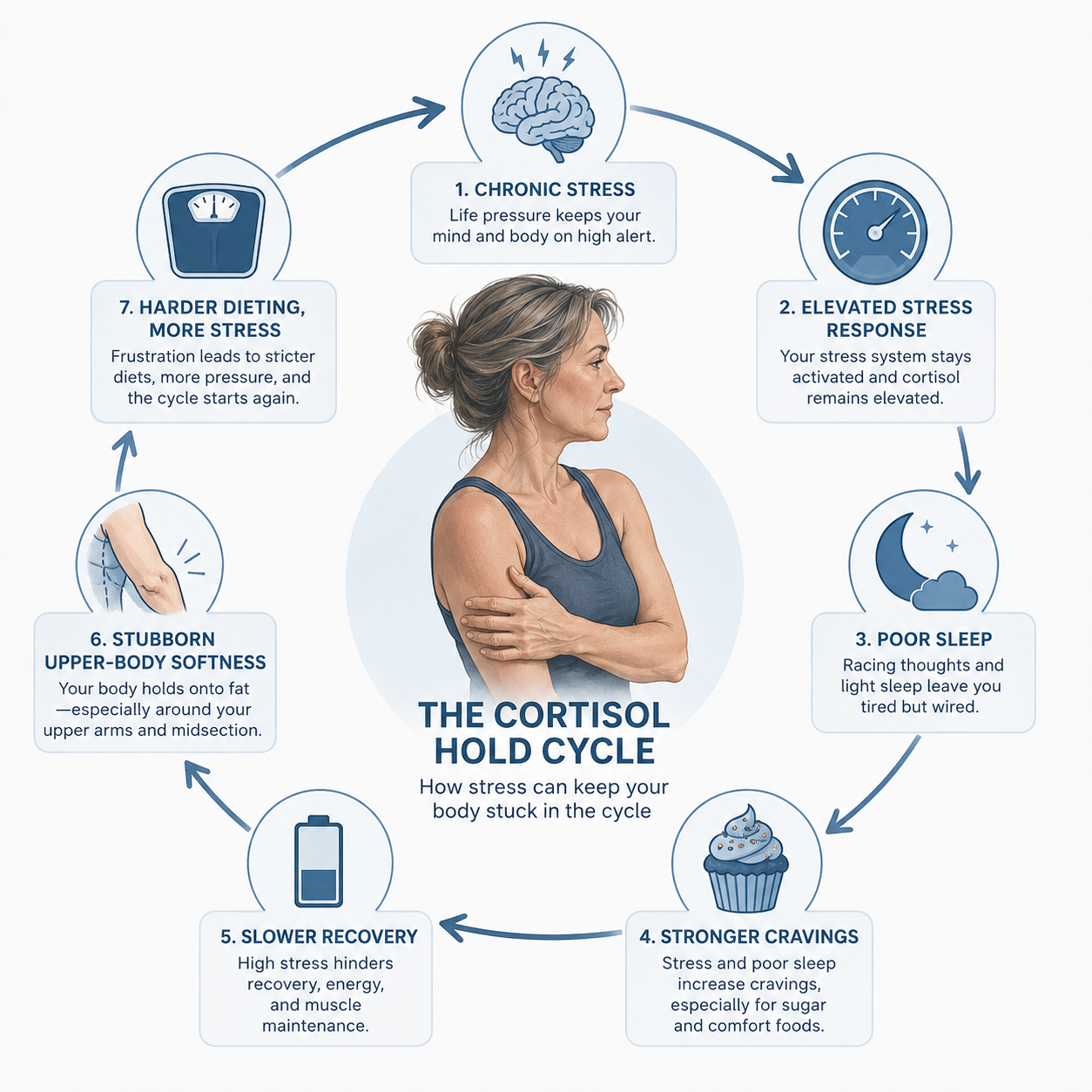 Full-width diagram of the stress-to-craving-to-stubborn-fat pathway